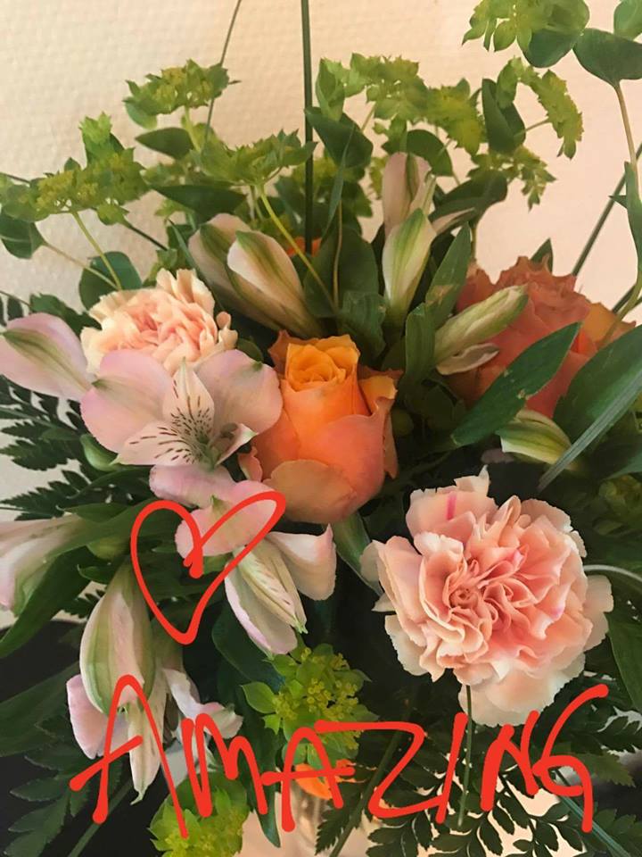 22221546_1582481271808982_989295110639352256_n