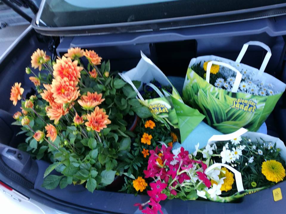 32168988_1799113553479085_3627641519797698560_n